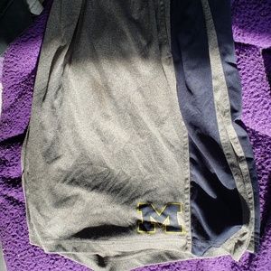 University of Michigan shorts